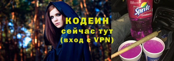 гидра Богородск