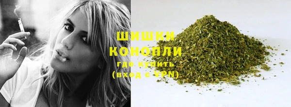 индика Рославль