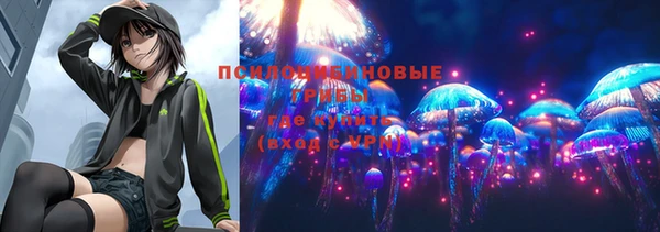 таблы Богданович