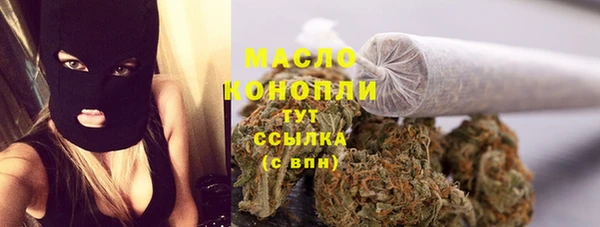 амф Богородицк