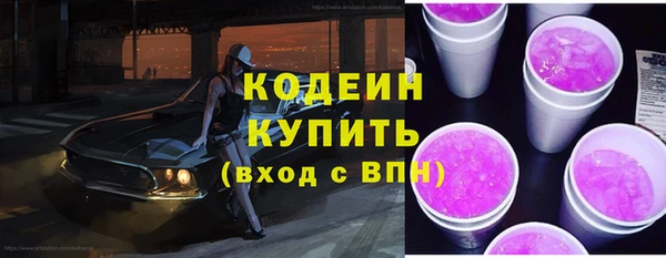гидра Богородск