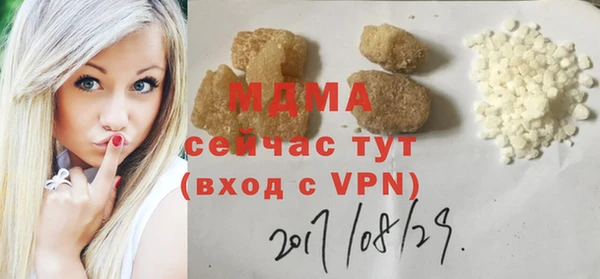 гидра Богородск