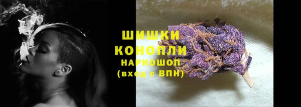 таблы Богданович