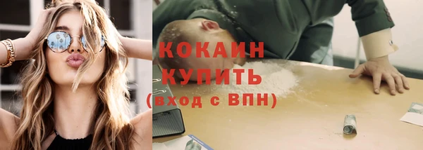 гидра Богородск