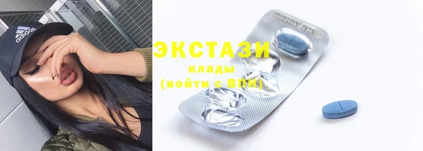 гидра Богородск