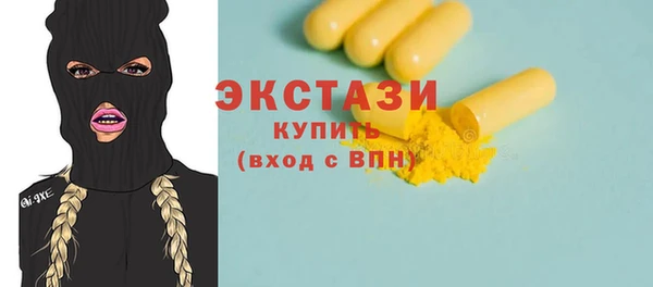 гидра Богородск