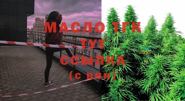 гидра Богородск