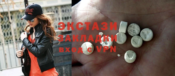гидра Богородск